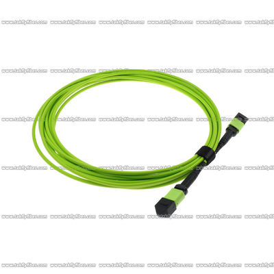 El cable con varios modos de funcionamiento 12 de la fibra de OM5 MPO quita el corazón al cordón de remiendo de 3.0m m LSZH MPO