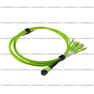 MPO - cable con varios modos de funcionamiento de la fibra del cordón de remiendo de la fibra 8xLC OM5 8F 3.0m m LSZH MPO