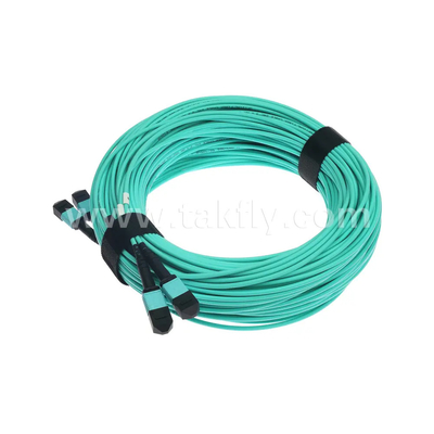 24 núcleos MTP Trunk Cable Jumper de fibra óptica para el centro de datos FTTX PVC personalizable