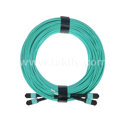 24 núcleos MTP Trunk Cable Jumper de fibra óptica para el centro de datos FTTX PVC personalizable