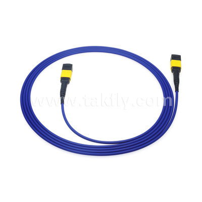 MPO/MTP Patchcord Cable de tronco blindado SM/MM Jumper Fibra óptica para centro de datos AI FTTX Telecom
