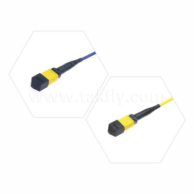MPO/MTP Patchcord Cable de tronco blindado SM/MM Jumper Fibra óptica para centro de datos AI FTTX Telecom