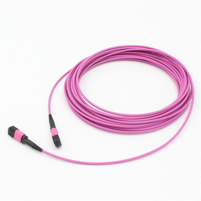Elite Multimode OM4 50/125, Plenum OFNP Tipo B MPO cordón de parche 1m 3ft MTP-12 PC Femenino a MTP-12 PC Femenino