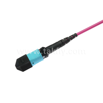 Elite Multimode OM4 50/125, Plenum OFNP Tipo B MPO cordón de parche 1m 3ft MTP-12 PC Femenino a MTP-12 PC Femenino