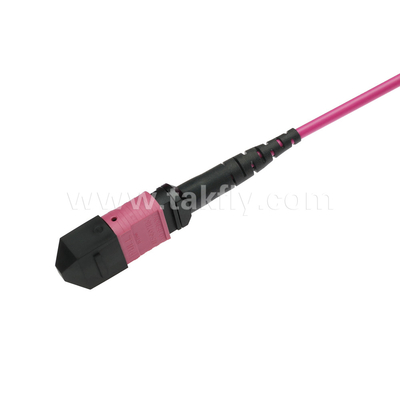 Elite Multimode OM4 50/125, Pleno OFNP Tipo B MPO Cordón de parche 5m 16ft MTP-12 PC Femenino a MTP-12 PC Femenino