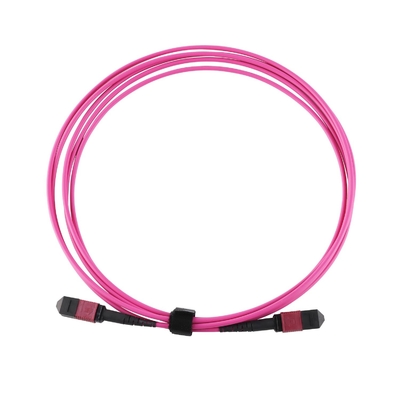 Elite Multimode OM4 50/125, Pleno OFNP Tipo B MPO Cordón de parche 5m 16ft MTP-12 PC Femenino a MTP-12 PC Femenino