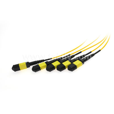 Fibra óptica del divisor 1x4 SM/MM del PLC del cable del Fanout de MPO/MTP para el centro de datos FTTX