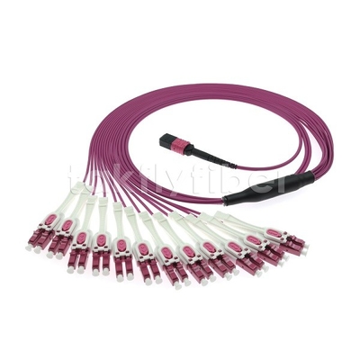 24F MTP 12x LC DX Uniboot OM4 Cordón de parche de fibra para redes de alta velocidad