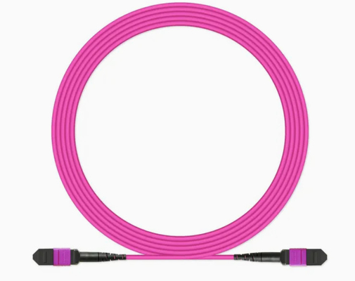 Cordón de parches de fibra óptica de 12 fibras MPO/MTP flexible -20C-70C para diferentes entornos