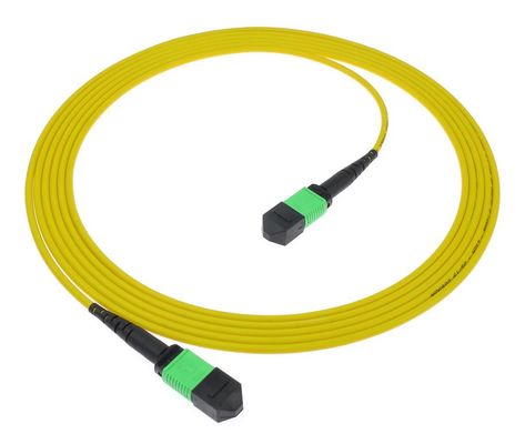 Cable de conexión MPO/MTP UPC/APC PVC/LSZH