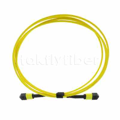 Cable troncal MTP® MPO de 5M, MTP®-12 APC (Hembra) a MTP®-12 APC (Hembra), 12 Fibras, Plenum OS2 (OFNP), 0.35dB Máx.