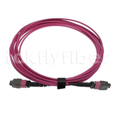 CPR B2ca Multimode OM4 MPO to MPO Fiber Trunk Cable, MTP-12 OM4 Female to Female, Type A, 5m