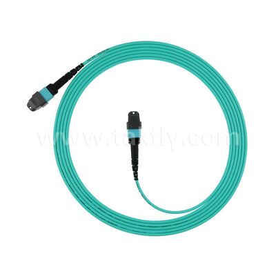 Alta densidad OM3 OM4 OM5 Multimodo 8F 12F 16F 24F MPO MTP Multimodo Fibra Óptica Patchcord / Fibra Óptica Patch Cable / Jumper óptico / Fibra Óptica Trunk Cable para el centro de datos