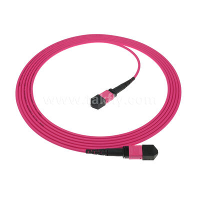 MPO MTP Hombre Mujer 8F 12F 16F 24F MM Multimodo OM4 Fibra óptica Patchcord / Fibra óptica Patch cable / Fibra óptica Breakout cable / Fibra óptica tronco cable