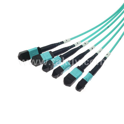 Latiguillo de fibra óptica MPO MTP macho-hembra 6x12F 72 fibras MM multimodo OM3 OM4 / Cable de conexión de fibra óptica / Cable de ruptura óptica / Cable troncal de fibra óptica / Cable de abanico de fibra óptica
