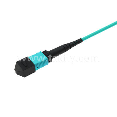 OM3 OM4 Multimodo 24 fibras 2x12F MPO MTP- 2x12F MPO MTP Hombre Mujer Fibra Óptica Patchcord / Fibra Óptica Patch Cable / Fibra Óptica Breakout Cable / Fibra Óptica Trunk Cable / Fibra Óptica Fanout Cable