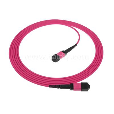 MPO/MTP Patchcord Modulo único Multimodo LSZH 8f/12f/24f Cables de fibra óptica para el centro de datos FTTX