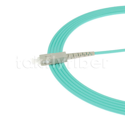 Fibra óptica de patchcord LC/Sc/FC/St Uni-modo/Multimodo Upc/APC Simplex/Duplex Jumper para el centro de datos FTTH Telecom