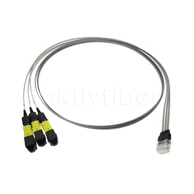 3x12F MTP - 36CH Fiber Array FA Assembly con alta tasa de transmisión, bajo consumo y alta estabilidad y fiabilidad