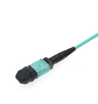 MPO/MTP-LC Breakout Patch Cord. Solución de cableado de fibra óptica multi-núcleo de alta densidad