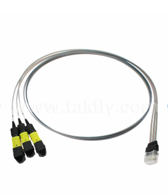 MTP 12CH×3 a 36 canales Fibra de ensamblaje de la matriz 3×12CH conectores MTP a 36CH FAU V-Groove, baja pérdida de inserción, para 1.6T transceptores ópticos y co-empaquetados ópticos (CPO)