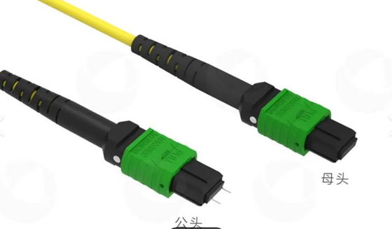 8F 12F 16F 24F MPO MTP Macho Hembra SM MM Cable de conexión de fibra óptica / Cable de conexión de fibra óptica / Cable de conexión óptica / Cable troncal de fibra óptica para centro de datos de alta densidad