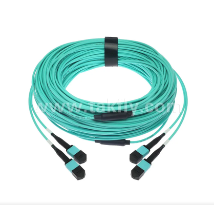 24-Core MPO/PC Mini Trunk Patch Cord – OM3 Multimode, 2×MPO Input to 2×MPO Output, Low Insertion Loss, for High-Density Data Center & 40G/100G SR4 Applications