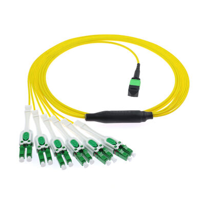Cable de conexión SM Uniboot 12F MPO -6x LC APC DX