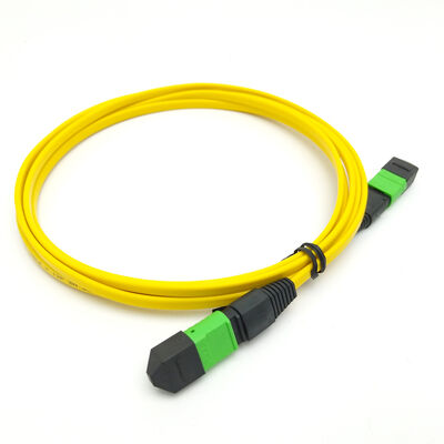 Cables de parche MPO/MTP de alto rendimiento 8/12/24 Fibras, baja pérdida, compatibles con IEC y TIA