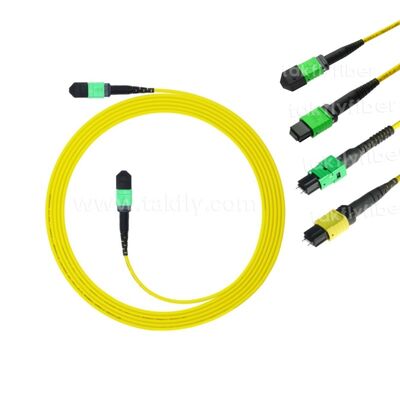 Fibra óptica del cable troncal 12F del cordón de remiendo de MPO MTP SM para el cableado de las telecomunicaciones FTTX del AI del centro de datos