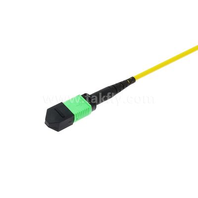 Fibra óptica del cable troncal 12F del cordón de remiendo de MPO MTP SM para el cableado de las telecomunicaciones FTTX del AI del centro de datos