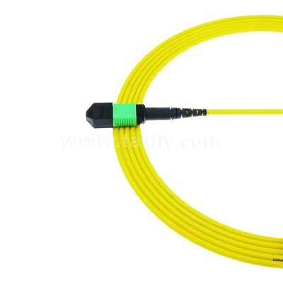 Fibra óptica del cable troncal 12F del cordón de remiendo de MPO MTP SM para el cableado de las telecomunicaciones FTTX del AI del centro de datos