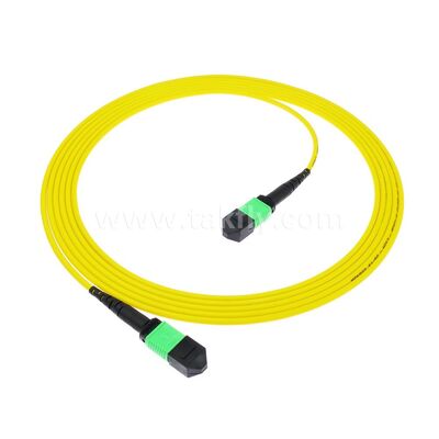 Fibra óptica del cable troncal 12F del cordón de remiendo de MPO MTP SM para el cableado de las telecomunicaciones FTTX del AI del centro de datos