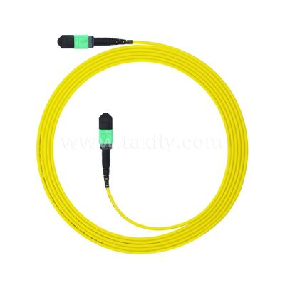 Fibra óptica del cable troncal 12F del cordón de remiendo de MPO MTP SM para el cableado de las telecomunicaciones FTTX del AI del centro de datos