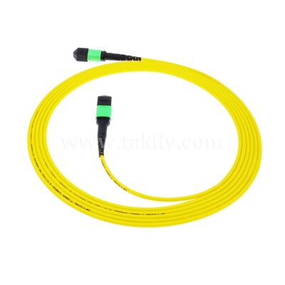 Fibra óptica del cable troncal 12F del cordón de remiendo de MPO MTP SM para el cableado de las telecomunicaciones FTTX del AI del centro de datos