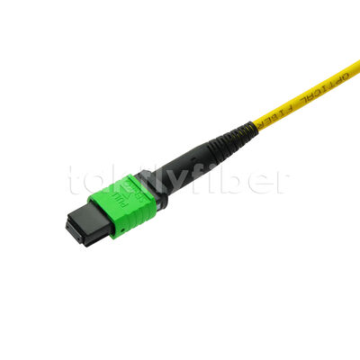 Fibra óptica del cable troncal 12F del cordón de remiendo de MPO MTP SM para el cableado de las telecomunicaciones FTTX del AI del centro de datos