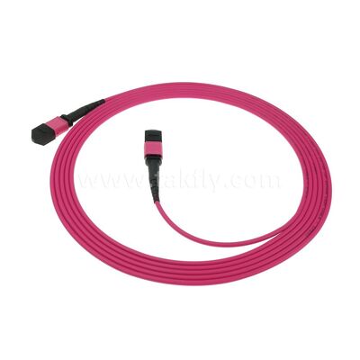 MPO MTP Patchcord Multimodo OM4 Cable de tronco 24F Fibra óptica para el centro de datos AI cableado de telecomunicaciones