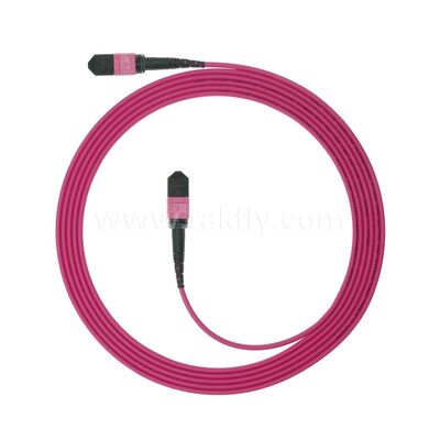 MPO MTP Patchcord Multimodo OM4 Cable de tronco 24F Fibra óptica para el centro de datos AI cableado de telecomunicaciones