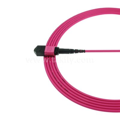 MPO MTP Patchcord Multimodo OM4 Cable de tronco 24F Fibra óptica para el centro de datos AI cableado de telecomunicaciones