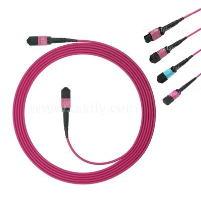 MPO MTP Patchcord Multimodo OM4 Cable de tronco 12F Fibra óptica para el centro de datos AI cableado de telecomunicaciones