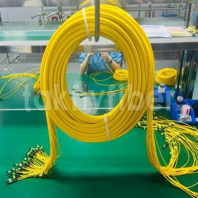 Cable de conexión MPO/MTP de ultra-densidad Takfly 288 fibras