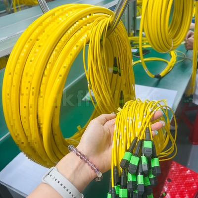 Cable de conexión MPO/MTP de ultra-densidad Takfly 288 fibras