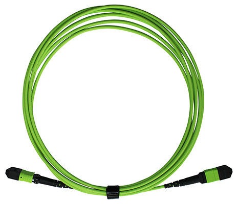 fibra óptica femenina Patchcord de 400G MPO MTP milímetro 50/125 OM5 3.0m m LSZH