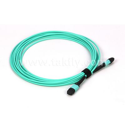 Cable de fibra óptica de múltiples modos 12/24 núcleos Mpo Mtp Om3 para aplicaciones en centros de datos