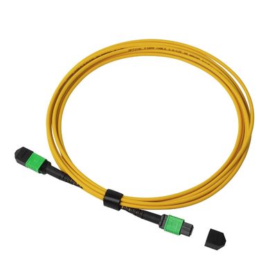 cable LSZH del tronco de la fibra de 8F 12F 24F MTP MPO para 10G 40G 100G 400G