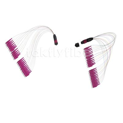 La hembra a la fibra óptica MPO del LC remienda corazones de la violeta 12/24 del cordón OM4