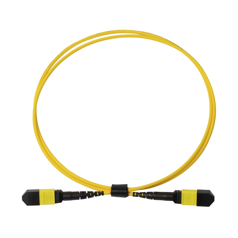 Pleno OFNP MPO Cordón de parche 1m 3ft MTP-12 APC Femenino a MTP-12 APC Femenino Modo único OS2