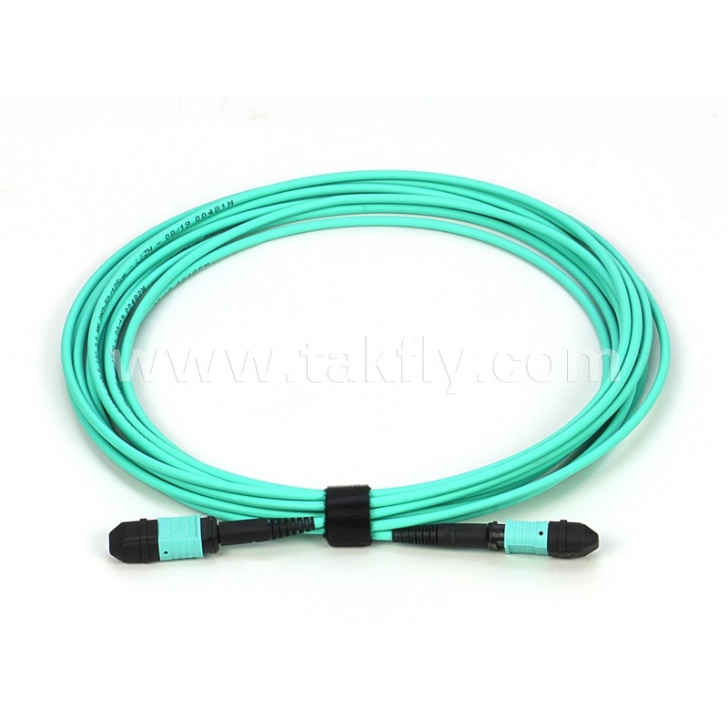 Elite Multimodo OM3 50/125 Pleno OFNP Tipo B MPO Cordón de parche 30m 100ft MTP-12 PC Femenino a MTP-12 PC Femenino