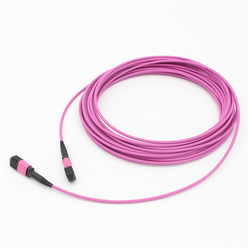 Elite Multimode OM4 50/125, Plenum OFNP Tipo B MPO cordón de parche 1m 3ft MTP-12 PC Femenino a MTP-12 PC Femenino