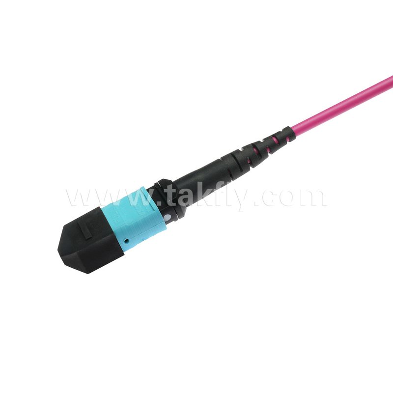 Elite Multimode OM4 50/125, Plenum OFNP Tipo B MPO cordón de parche 3m 10ft MTP-12 PC Femenino a MTP-12 PC Femenino